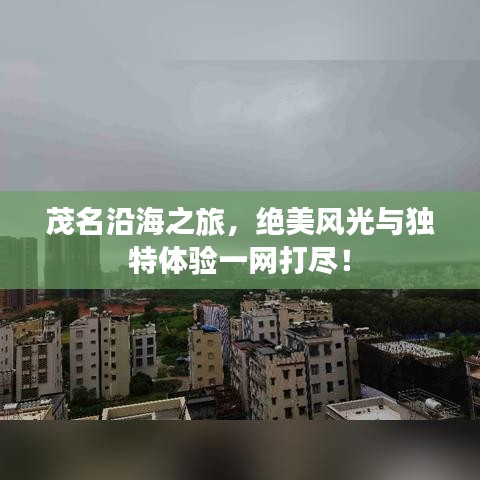 茂名沿海之旅，絕美風(fēng)光與獨(dú)特體驗(yàn)一網(wǎng)打盡！