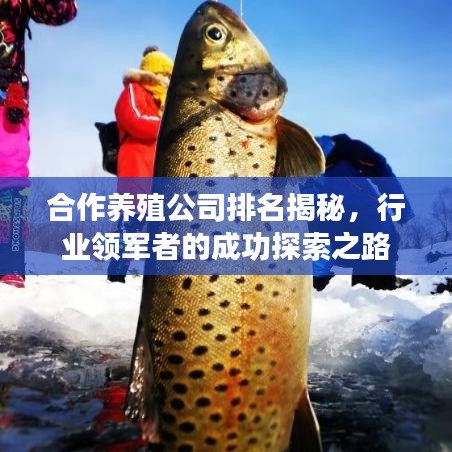 合作養(yǎng)殖公司排名揭秘，行業(yè)領(lǐng)軍者的成功探索之路