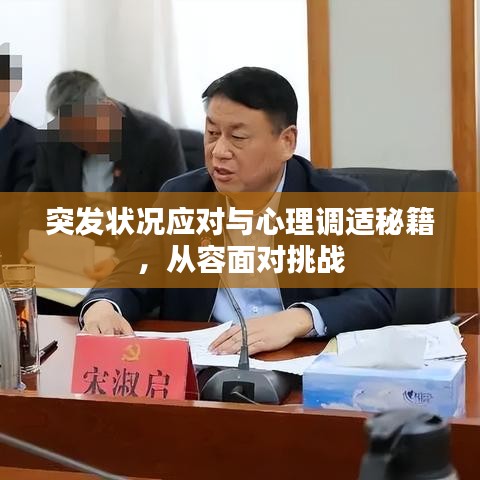 突發(fā)狀況應(yīng)對(duì)與心理調(diào)適秘籍，從容面對(duì)挑戰(zhàn)