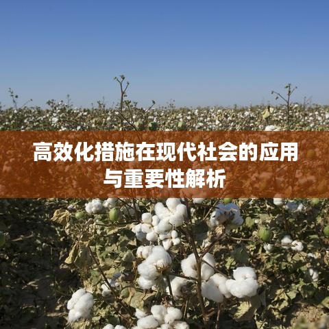 高效化措施在現(xiàn)代社會的應用與重要性解析