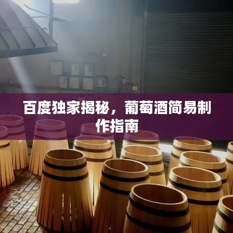 百度獨(dú)家揭秘，葡萄酒簡(jiǎn)易制作指南