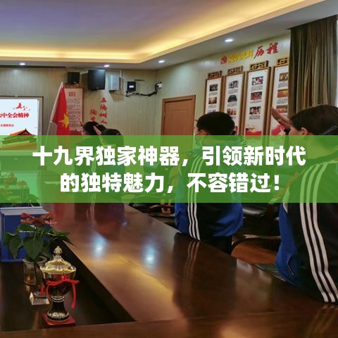 十九界獨家神器，引領(lǐng)新時代的獨特魅力，不容錯過！
