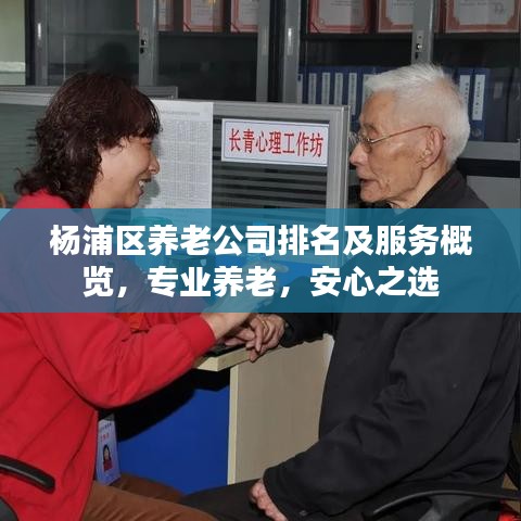 楊浦區(qū)養(yǎng)老公司排名及服務(wù)概覽，專業(yè)養(yǎng)老，安心之選