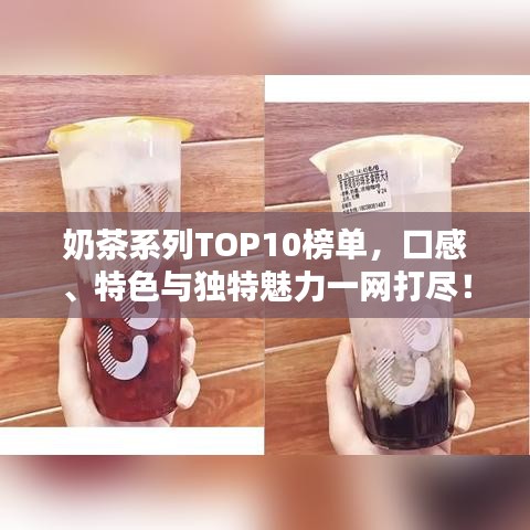 奶茶系列TOP10榜單，口感、特色與獨特魅力一網(wǎng)打盡！