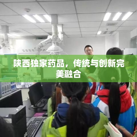 生離死別 第3頁(yè)