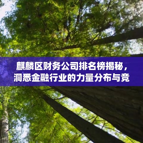 麒麟?yún)^(qū)財務公司排名榜揭秘，洞悉金融行業(yè)的力量分布與競爭格局