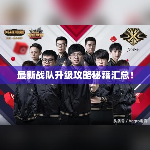 最新戰(zhàn)隊升級攻略秘籍匯總！