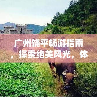 廣州饒平暢游指南，探索絕美風(fēng)光，體驗獨特風(fēng)情！
