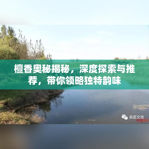 檀香奧秘揭秘，深度探索與推薦，帶你領略獨特韻味