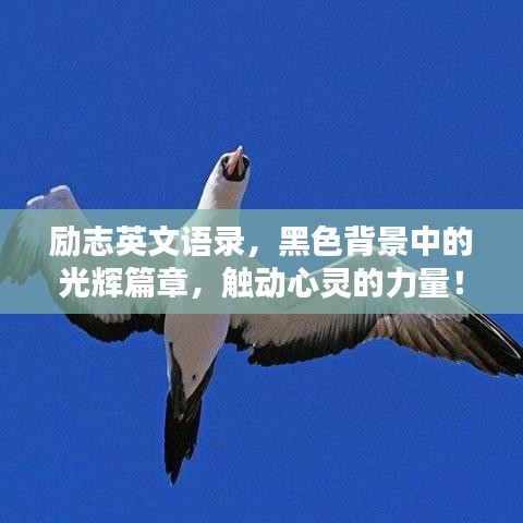 勵(lì)志英文語錄，黑色背景中的光輝篇章，觸動(dòng)心靈的力量！