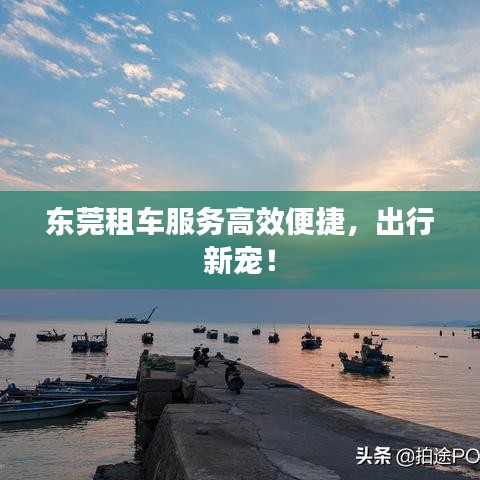 東莞租車服務高效便捷，出行新寵！