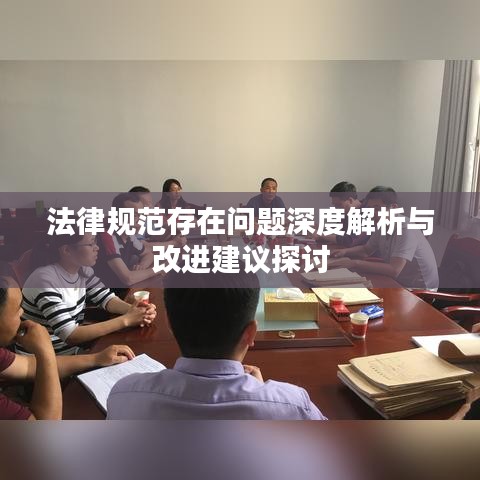 法律規(guī)范存在問題深度解析與改進(jìn)建議探討
