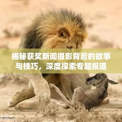 揭秘獲獎(jiǎng)新聞攝影背后的故事與技巧，深度探索專題報(bào)道
