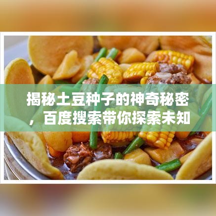 揭秘土豆種子的神奇秘密，百度搜索帶你探索未知世界