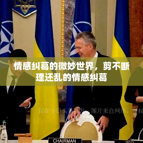 情感糾葛的微妙世界，剪不斷理還亂的情感糾葛