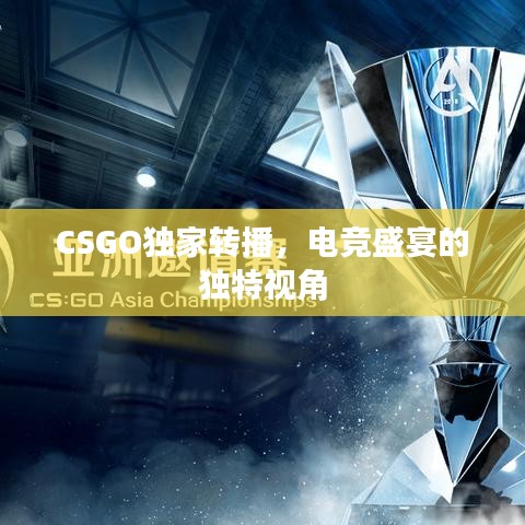 CSGO獨家轉(zhuǎn)播，電競盛宴的獨特視角