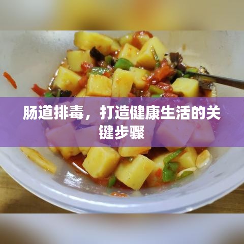 腸道排毒，打造健康生活的關(guān)鍵步驟