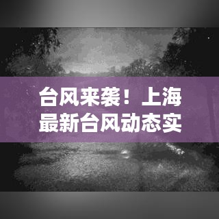臺風(fēng)來襲！上海最新臺風(fēng)動態(tài)實時更新