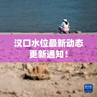 漢口水位最新動態(tài)更新通知！