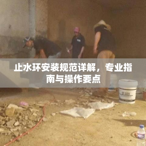 止水環(huán)安裝規(guī)范詳解，專業(yè)指南與操作要點