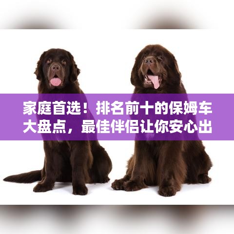 家庭首選！排名前十的保姆車大盤點，最佳伴侶讓你安心出行！