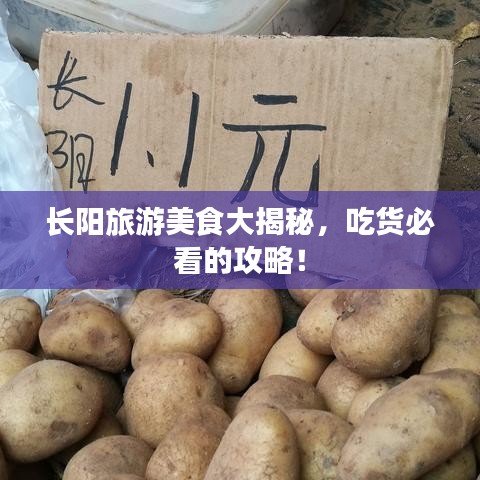 長陽旅游美食大揭秘，吃貨必看的攻略！
