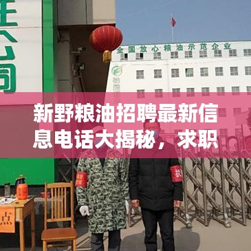 新野糧油招聘最新信息電話大揭秘，求職者福音，優(yōu)質(zhì)職位等你來挑！