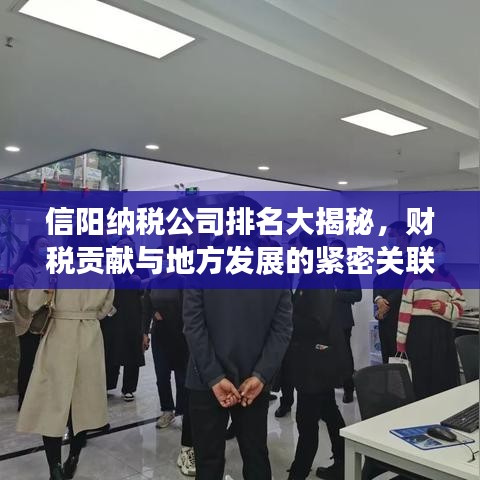 信陽納稅公司排名大揭秘，財稅貢獻與地方發(fā)展的緊密關聯(lián)