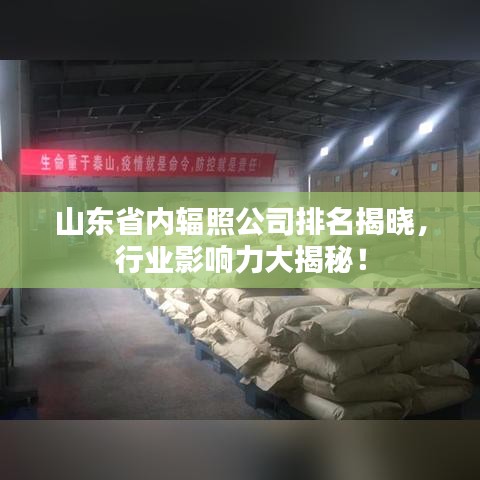山東省內(nèi)輻照公司排名揭曉，行業(yè)影響力大揭秘！