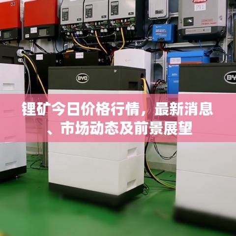 鋰礦今日價格行情，最新消息、市場動態(tài)及前景展望