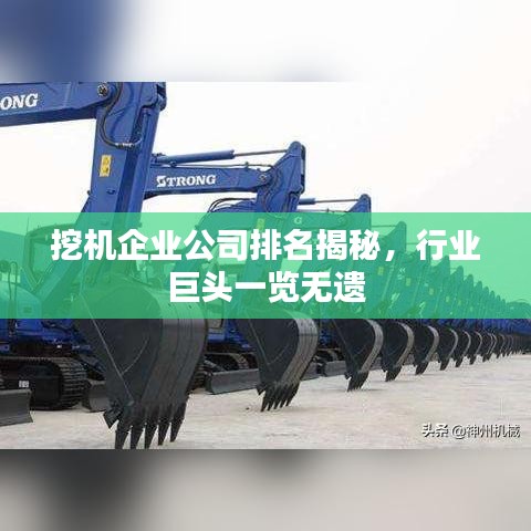 挖機(jī)企業(yè)公司排名揭秘，行業(yè)巨頭一覽無(wú)遺