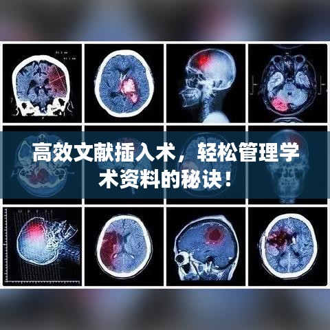 高效文獻(xiàn)插入術(shù)，輕松管理學(xué)術(shù)資料的秘訣！
