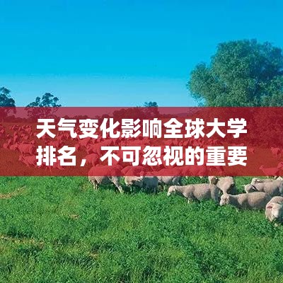 天氣變化影響全球大學(xué)排名，不可忽視的重要因素！