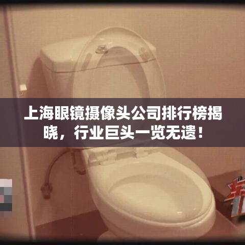 上海眼鏡攝像頭公司排行榜揭曉，行業(yè)巨頭一覽無遺！