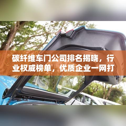 碳纖維車門公司排名揭曉，行業(yè)權(quán)威榜單，優(yōu)質(zhì)企業(yè)一網(wǎng)打盡！