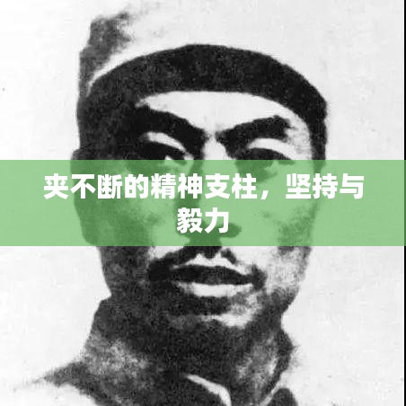 夾不斷的精神支柱，堅(jiān)持與毅力