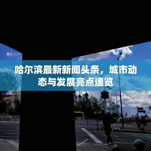 哈爾濱最新新聞?lì)^條，城市動(dòng)態(tài)與發(fā)展亮點(diǎn)速覽