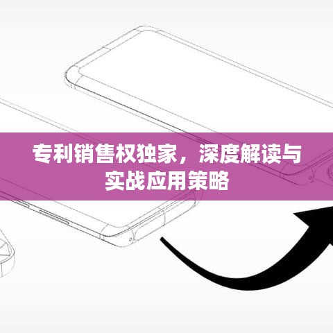 專利銷售權(quán)獨家，深度解讀與實戰(zhàn)應(yīng)用策略