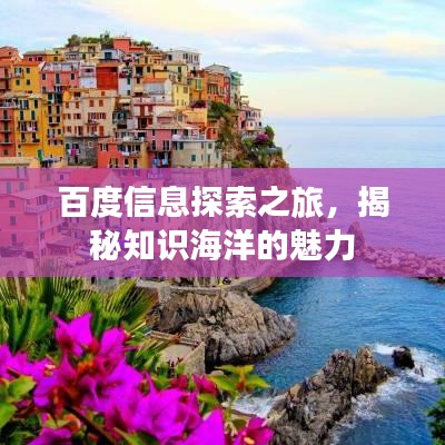 百度信息探索之旅，揭秘知識(shí)海洋的魅力