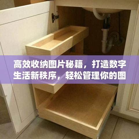 高效收納圖片秘籍，打造數字生活新秩序，輕松管理你的圖片世界！