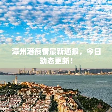 漳州港疫情最新通報，今日動態(tài)更新！
