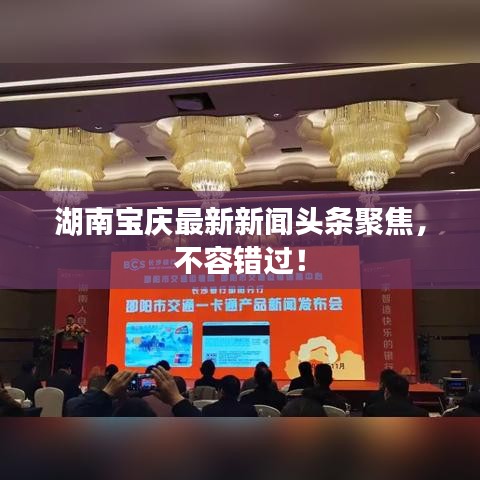 湖南寶慶最新新聞頭條聚焦，不容錯過！