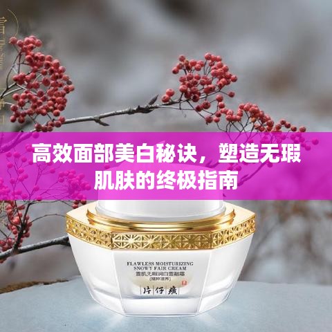 高效面部美白秘訣，塑造無瑕肌膚的終極指南
