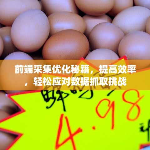 前端采集優(yōu)化秘籍，提高效率，輕松應(yīng)對(duì)數(shù)據(jù)抓取挑戰(zhàn)
