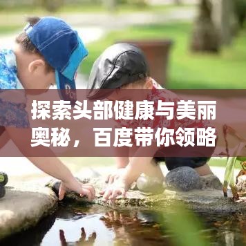 探索頭部健康與美麗奧秘，百度帶你領略新知